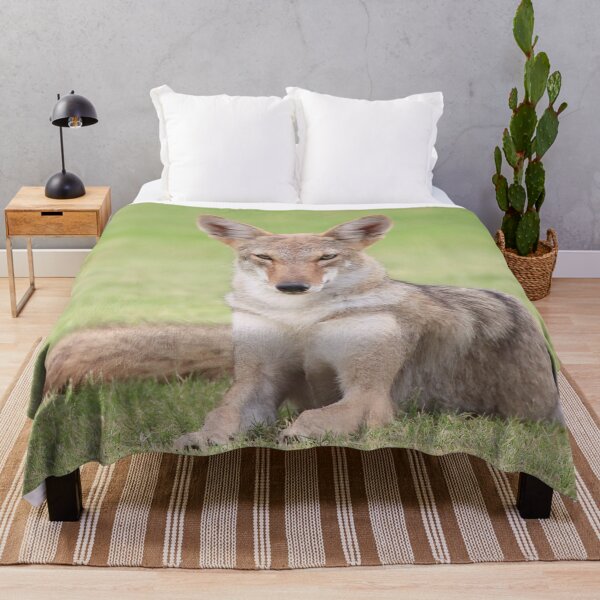 Item preview, Gorgeous Coyote designed and sold by simonjayphotos.