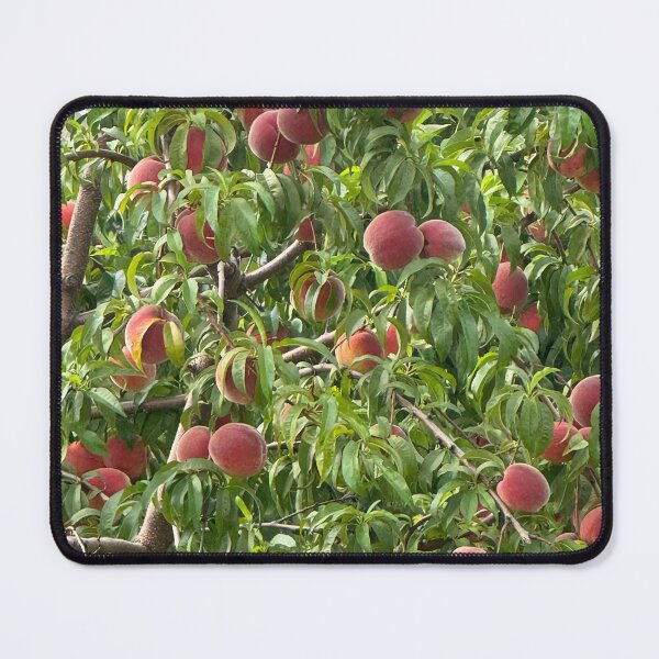 Item preview, Peach Tree designed and sold by Featherstone(d).