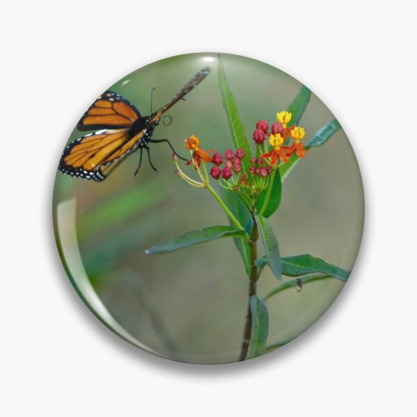 Item preview, Butterfly Magic designed and sold by BarbaraJDurham1.
