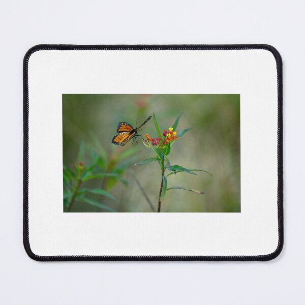 Item preview, Butterfly Magic designed and sold by BarbaraJDurham1.
