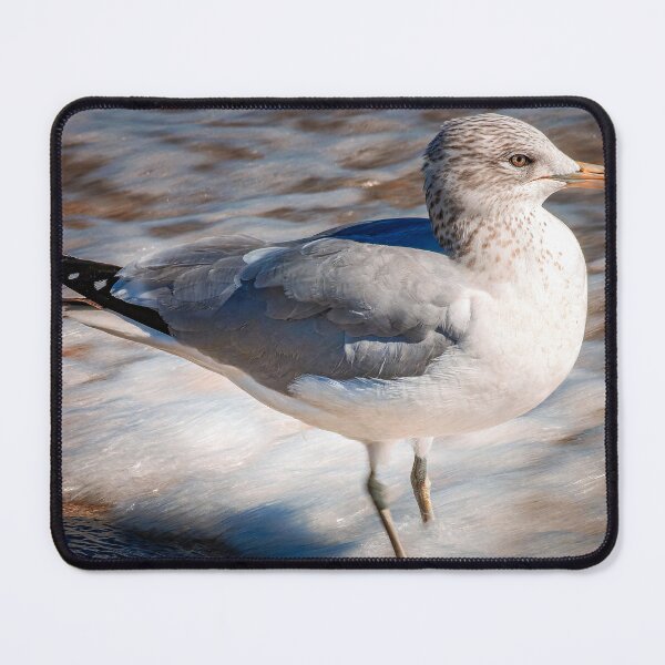 Item preview, Seagull Wading in Morning Surf designed and sold by Craig Bernstein.
