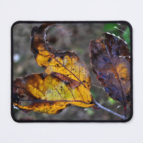 Item preview, Leaving Time designed and sold by michaelasamples.