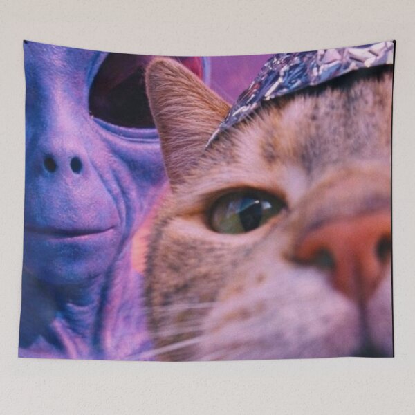 Item preview, Conspiracy Theorist Cat with Alien designed and sold by NF Designs Studio DTF.