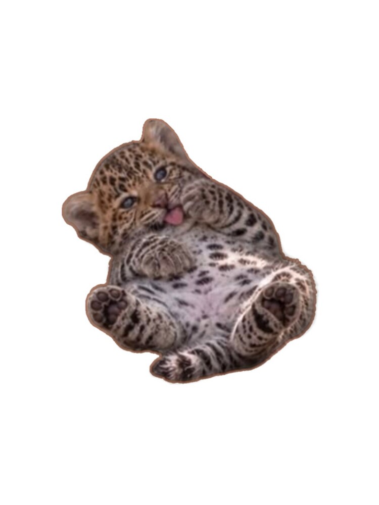 Thumbnail 4 of 4, iPhone Case, Spotted Kitty designed and sold by SoulLessly.