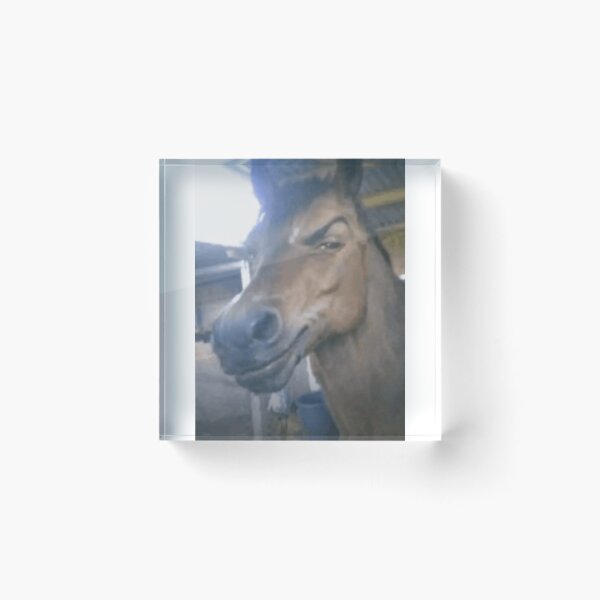Item preview, Funny Horse designed and sold by GingeSwagTia.