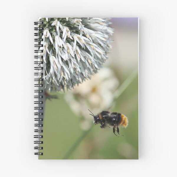 Item preview, Red tailed bumblebee in flight designed and sold by GreyFeatherPhot.