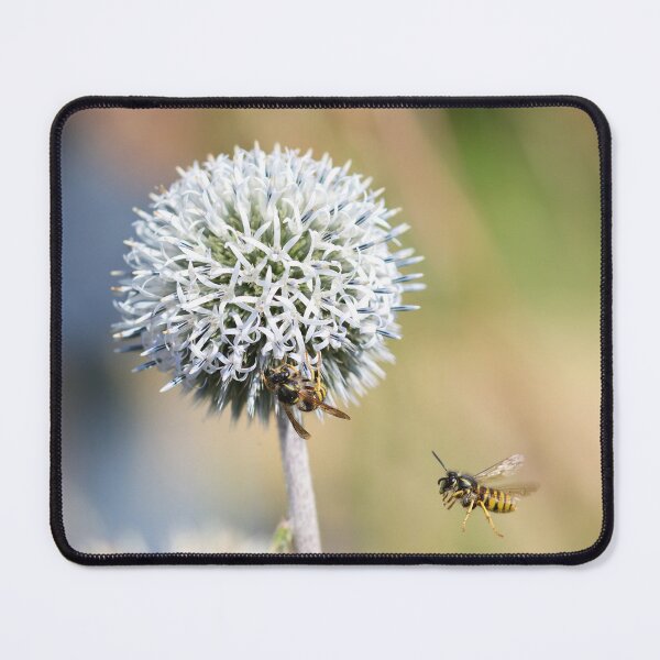 Item preview, Wasp in flight designed and sold by GreyFeatherPhot.