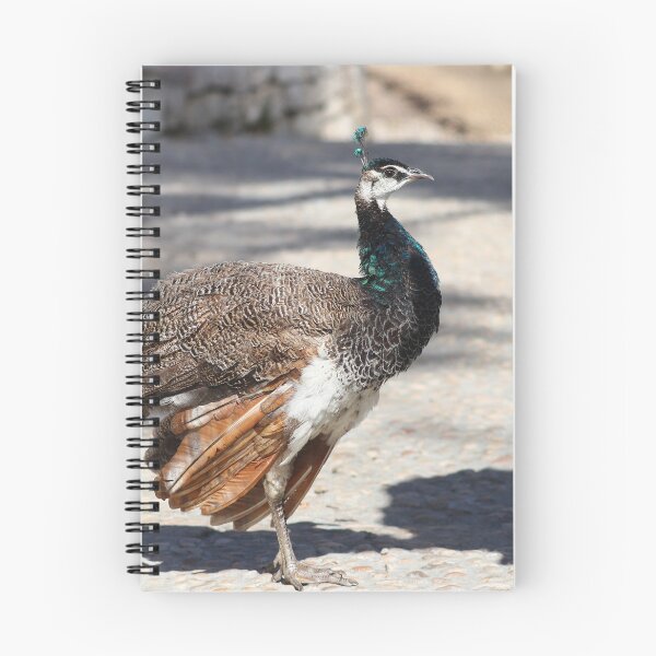 Item preview, Peafowl designed and sold by GreyFeatherPhot.