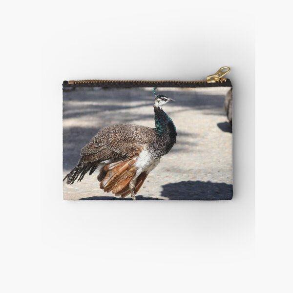 Item preview, Peafowl designed and sold by GreyFeatherPhot.