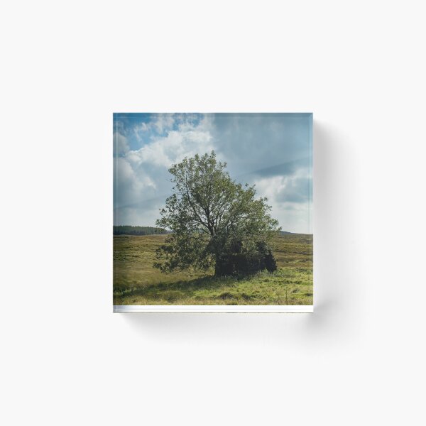 Item preview, Ruined House in a Field designed and sold by PointBlank.