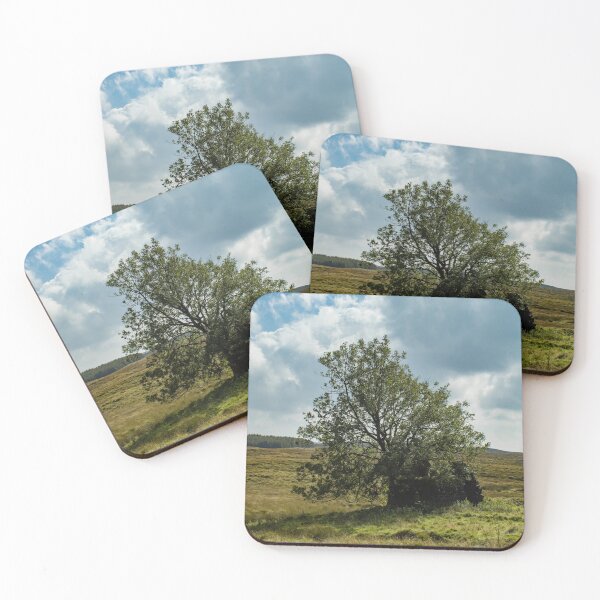 Item preview, Ruined House in a Field designed and sold by PointBlank.