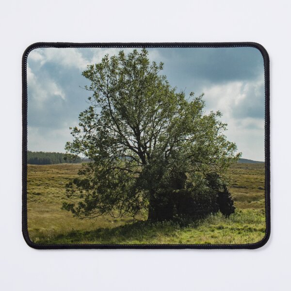 Item preview, Ruined House in a Field designed and sold by PointBlank.