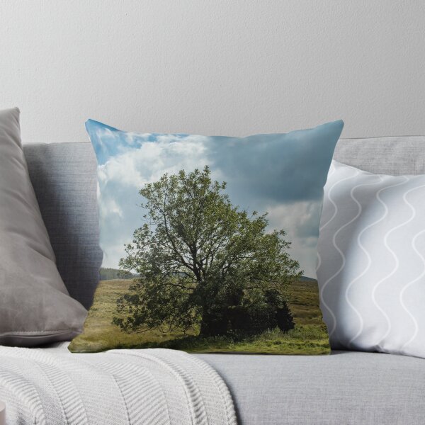 Item preview, Ruined House in a Field designed and sold by PointBlank.