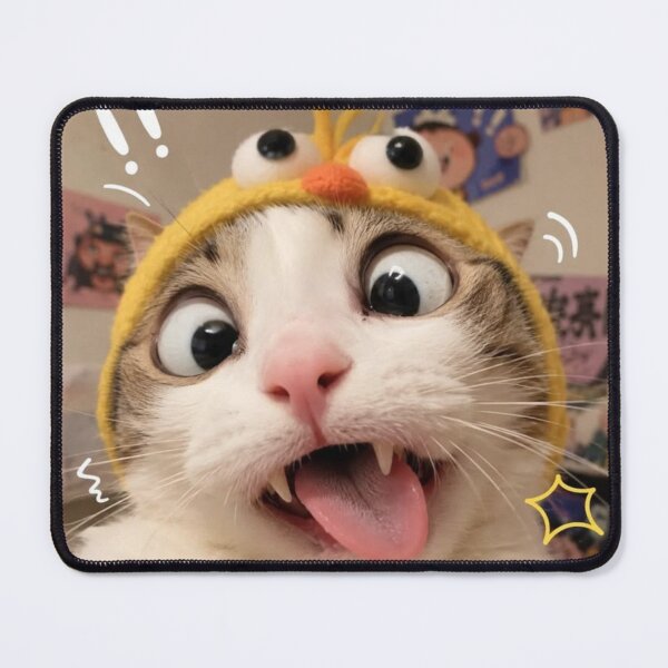 Item preview, Cat in a Chick Costume Surprised designed and sold by NF Designs Studio DTF.