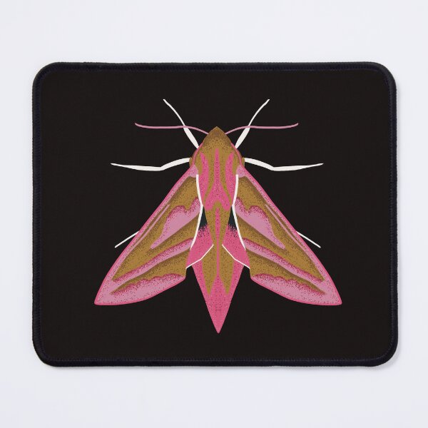 Item preview, Elephant Hawk Moth designed and sold by Olenka.