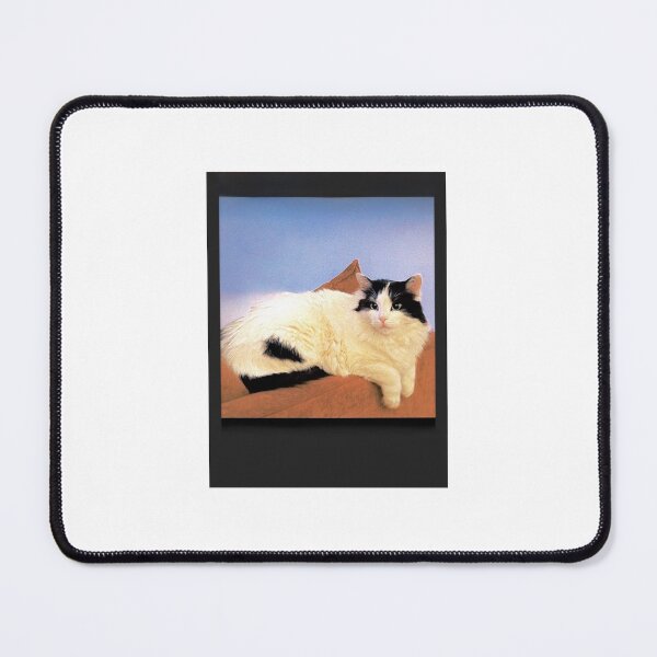 Item preview, Polaroid picture of Cat designed and sold by INDIE2006.
