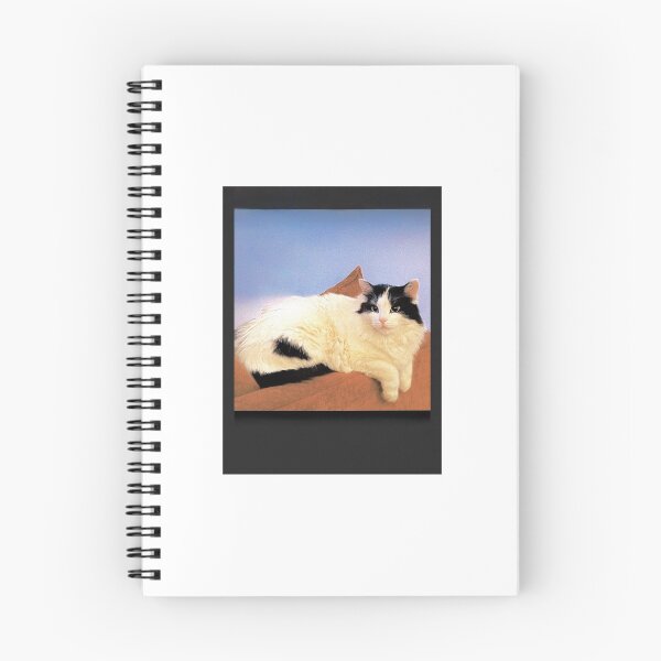 Item preview, Polaroid picture of Cat designed and sold by INDIE2006.