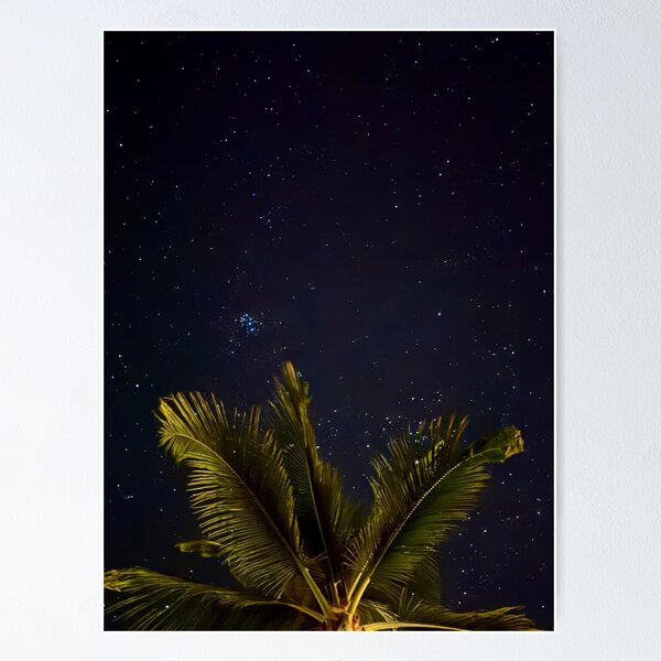 Item preview, Palm Tree Among The Stars designed and sold by olivia-wilbur.