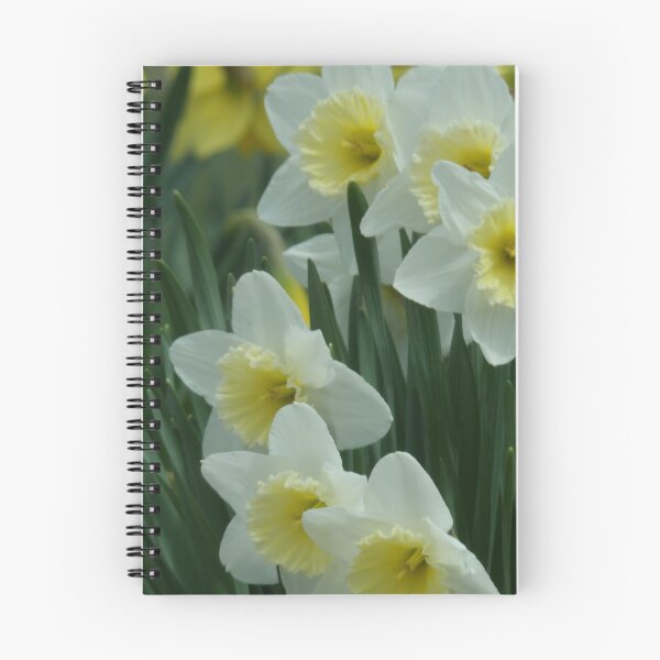 Item preview, SEE SOME SPRING IN DAFFODILS designed and sold by Digital2dreams.