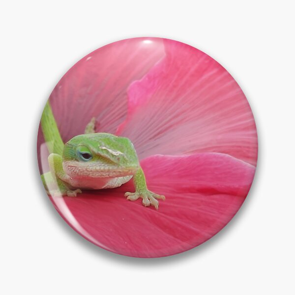 Artikelvorschau, Niedliche grüne Eidechse auf einer rosa Hibiskusblüte – Naturfotografie entworfen und verkauft von CoastalEmp.