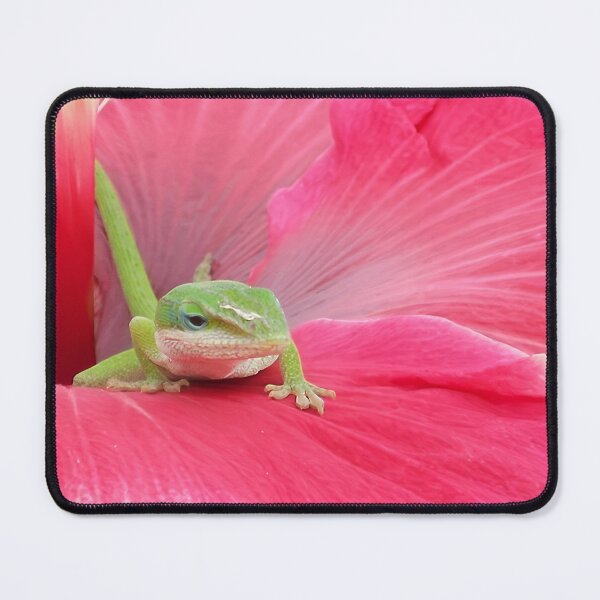 Item preview, Cute Green Lizard on a Pink Hibiscus Flower Nature Photography designed and sold by CoastalEmp.
