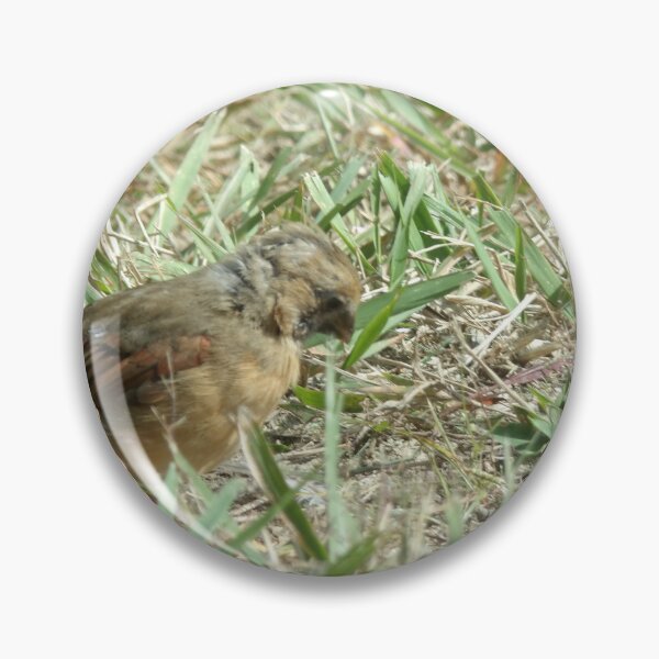 Item preview, little feathered friend designed and sold by Digital2dreams.