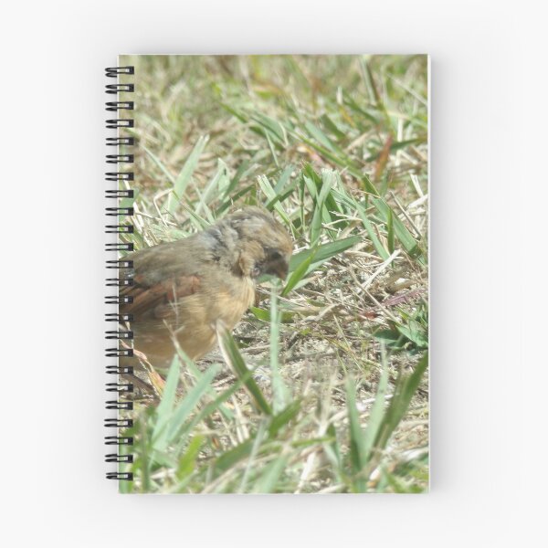 Item preview, little feathered friend designed and sold by Digital2dreams.