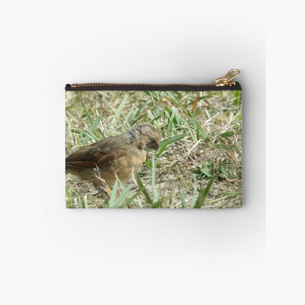 Item preview, little feathered friend designed and sold by Digital2dreams.
