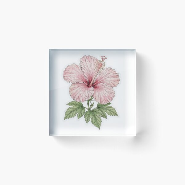 Item preview, Pink Hibiscus Flower Sticker | Fine Line Botanical Tattoo | Hibiscus Illustration designed and sold by FineLineBotanical .