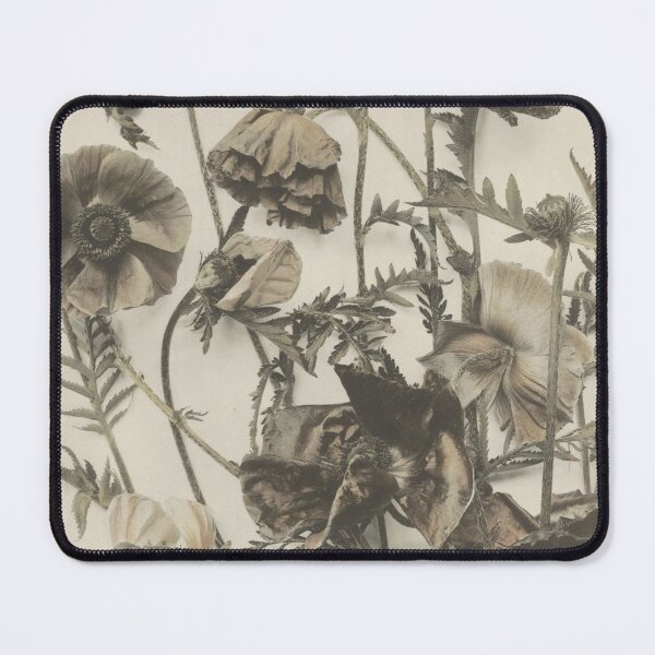 Item preview, Vintage Sepia Poppies Photography | Moody Botanical Dried Floral Art designed and sold by GabbasGallery.