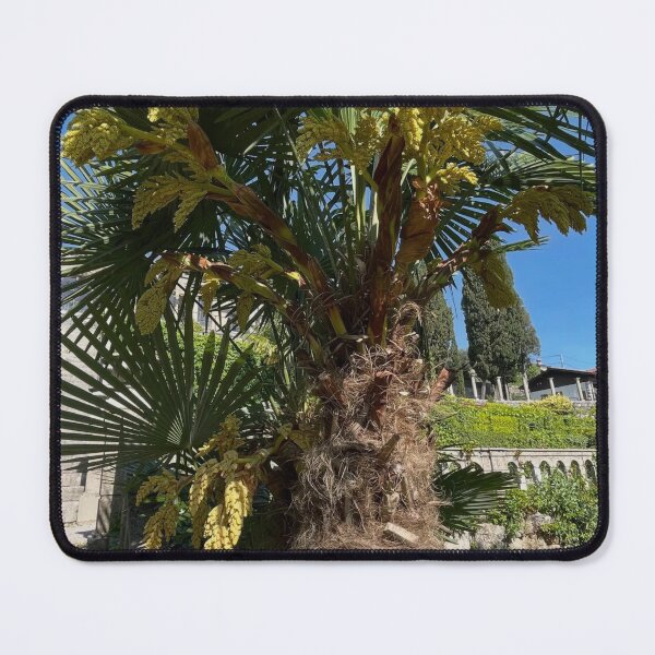 Item preview, Calm Forest Inspiration designed and sold by Markjueazley.