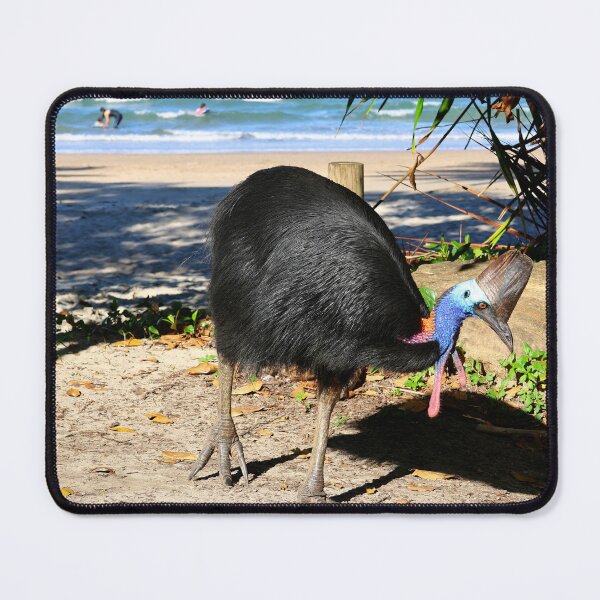 Item preview, Amazing Australian Rainforest Dinosaur Bird designed and sold by jaynerushton.