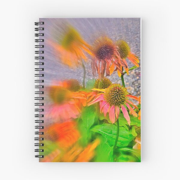 Item preview, Coneflower Radial Shot 2 designed and sold by KaleidoscopeMeg.