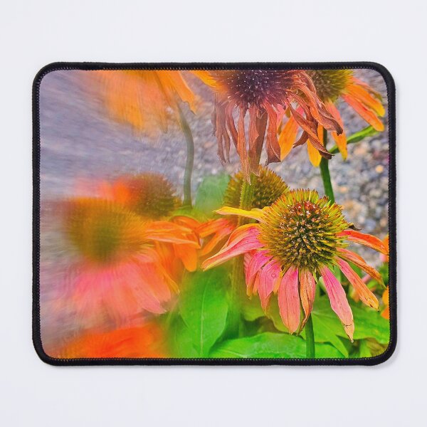 Item preview, Coneflower Radial Shot 2 designed and sold by KaleidoscopeMeg.