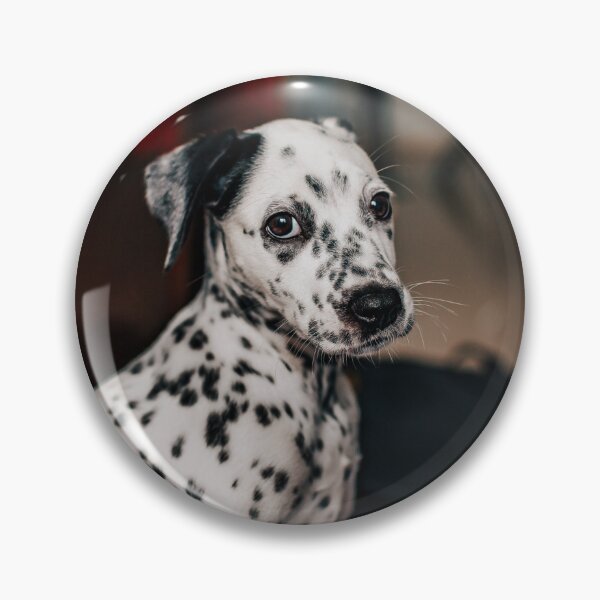 Item preview, Portrait of an Expressive Dalmatian Puppy designed and sold by VanGaldo.