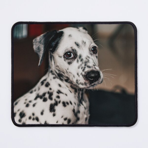 Item preview, Portrait of an Expressive Dalmatian Puppy designed and sold by VanGaldo.