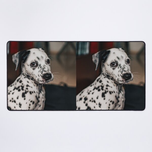 Item preview, Portrait of an Expressive Dalmatian Puppy designed and sold by VanGaldo.