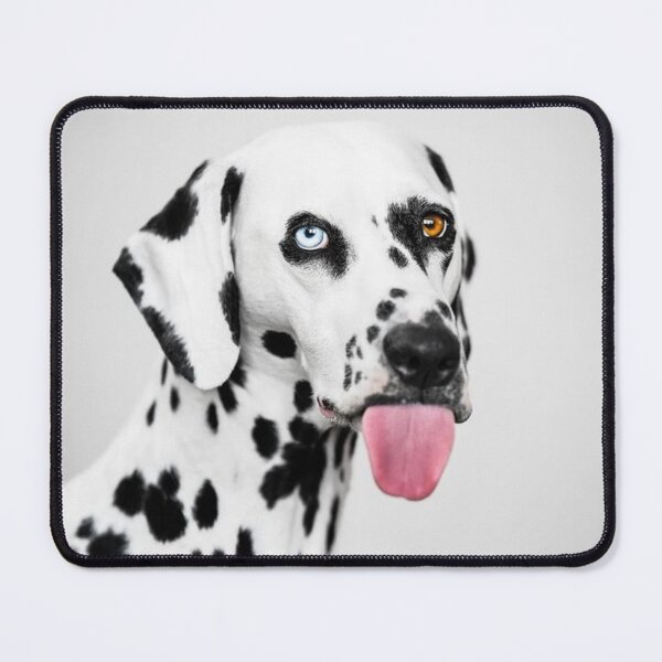 Item preview, Portrait of a Dalmatian Dog with Heterochromia designed and sold by VanGaldo.