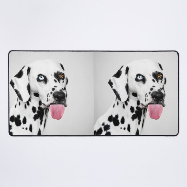 Item preview, Portrait of a Dalmatian Dog with Heterochromia designed and sold by VanGaldo.