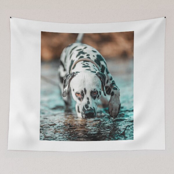 Item preview, Dalmatian Dog Walking in Shallow Water designed and sold by VanGaldo.