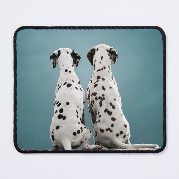 Item preview, Back View Portrait of Two Dalmatians Sitting designed and sold by VanGaldo.