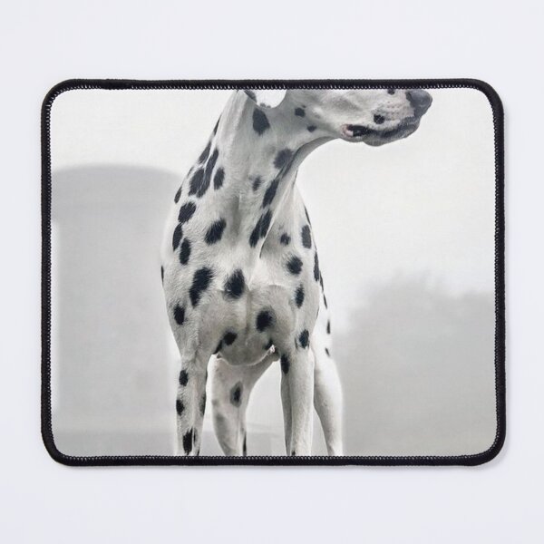 Item preview, Low-Angle Portrait of a Dalmatian Dog Standing Outdoors designed and sold by VanGaldo.