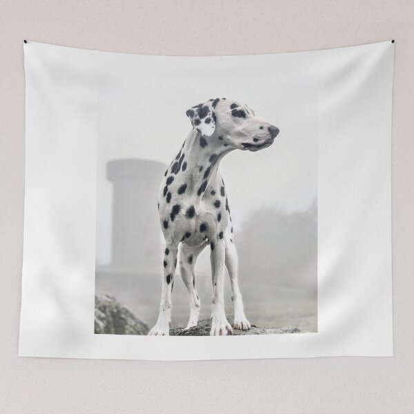 Item preview, Low-Angle Portrait of a Dalmatian Dog Standing Outdoors designed and sold by VanGaldo.