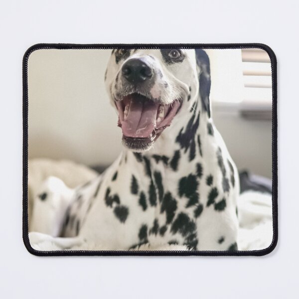 Item preview, Smiling Dalmatian Dog Lying on a Fluffy Blanket designed and sold by VanGaldo.