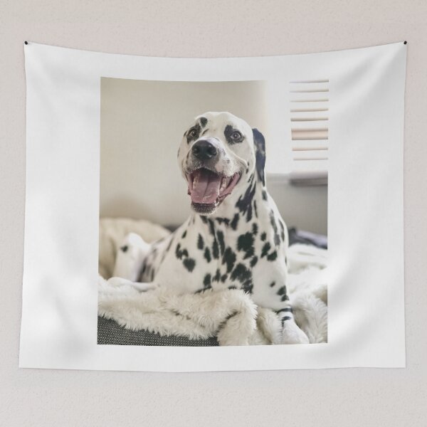 Item preview, Smiling Dalmatian Dog Lying on a Fluffy Blanket designed and sold by VanGaldo.