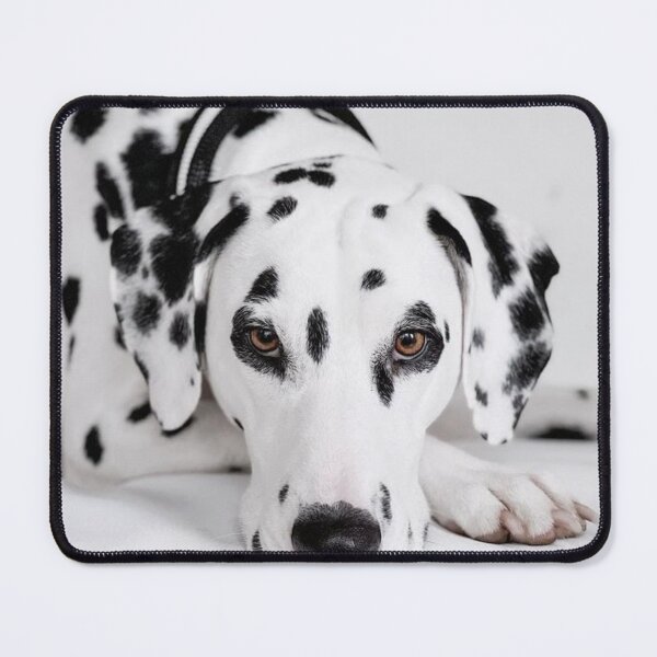 Item preview, Face Portrait of a Purebred Dalmatian Lying Down designed and sold by VanGaldo.
