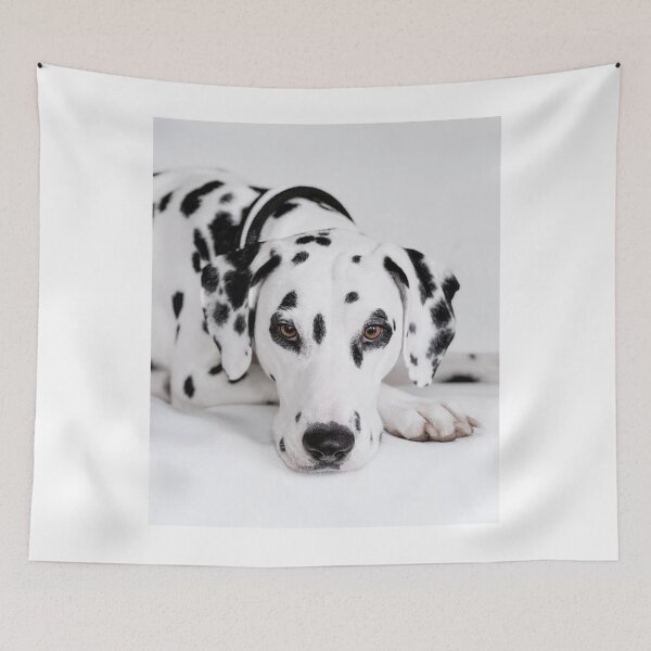 Item preview, Face Portrait of a Purebred Dalmatian Lying Down designed and sold by VanGaldo.