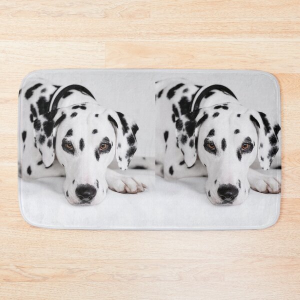 Item preview, Face Portrait of a Purebred Dalmatian Lying Down designed and sold by VanGaldo.