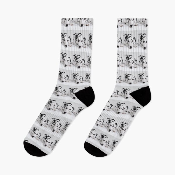 Item preview, Face Portrait of a Purebred Dalmatian Lying Down designed and sold by VanGaldo.