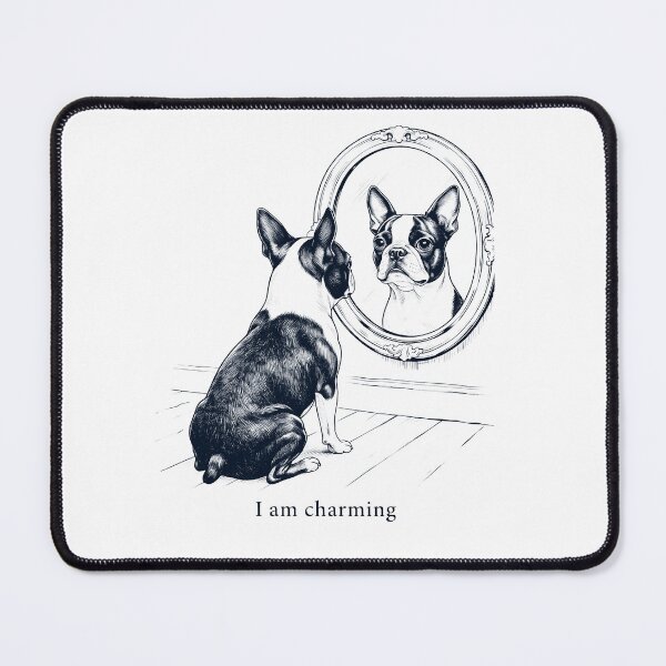 Item preview, Boston Terrier I Am Charming Mirror Meme Dog Lover designed and sold by dian-rody-crest.